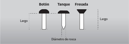 CABEZAS Y MEDICIÓN